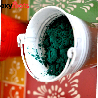 Wooden Hand Painted Holi Tray With Balty