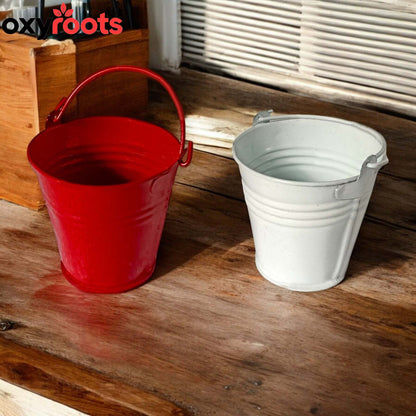 Wooden Hand Painted Holi Tray With Balty