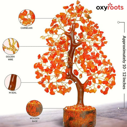 Decorative tree with orange stones, labeled components, and 'oxyroots' branding.